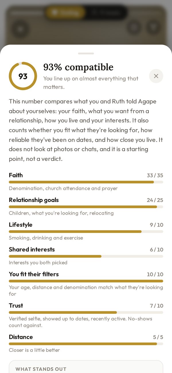 The compatibility breakdown: 93% compatible, with scores for faith, relationship goals, lifestyle, interests, filters, trust and distance